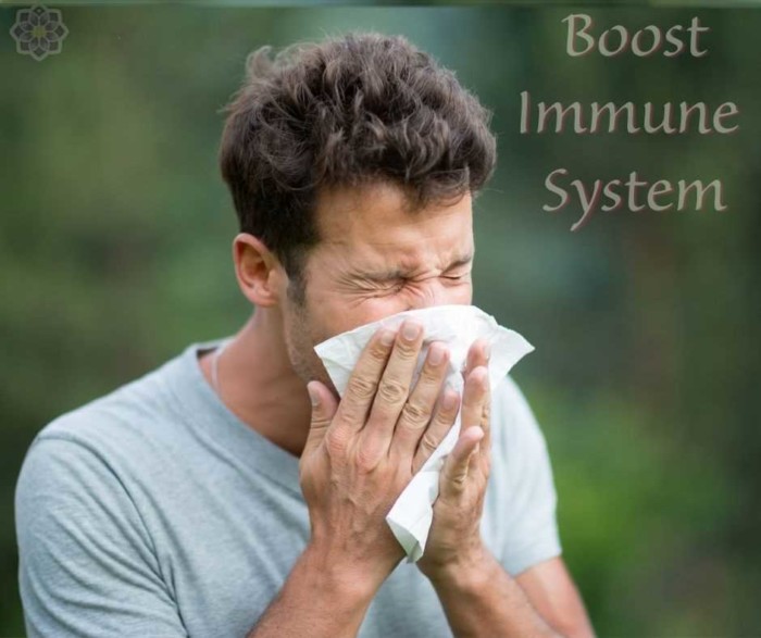 Boost Immune System